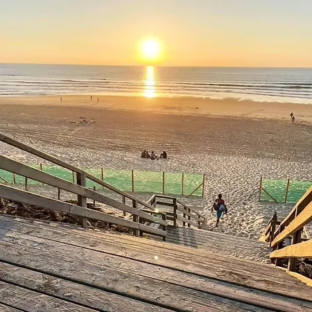 Grand Pavois-3 By Interhome Διαμέρισμα *